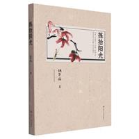 拣拾阳光