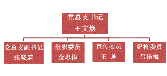 信息工程学院党组织结构图