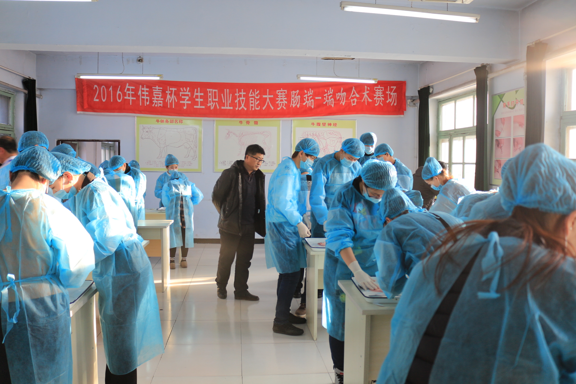 黑龙江职业学院伟嘉杯学生职业技能大赛“肠端-端吻合术”赛场
