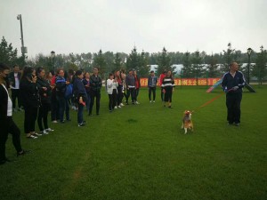 犬舍2