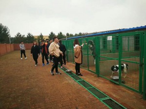 犬舍1
